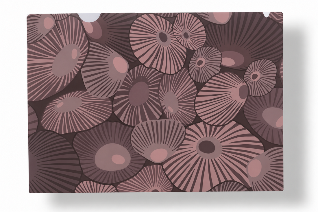 OPIHI FILE FOLDER